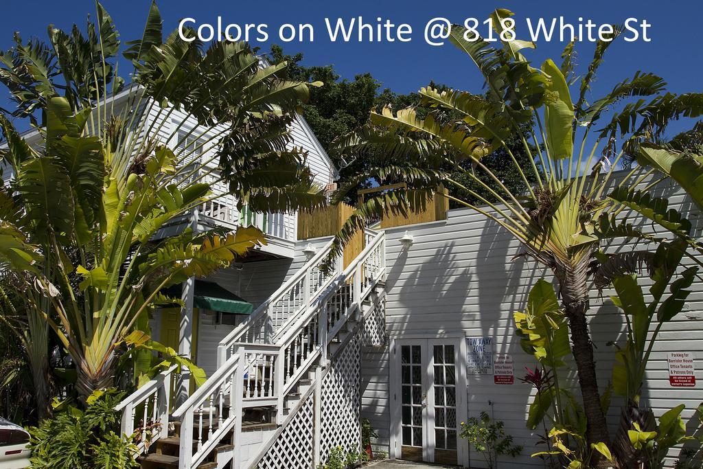 Appartement Colors On White à Key West Extérieur photo